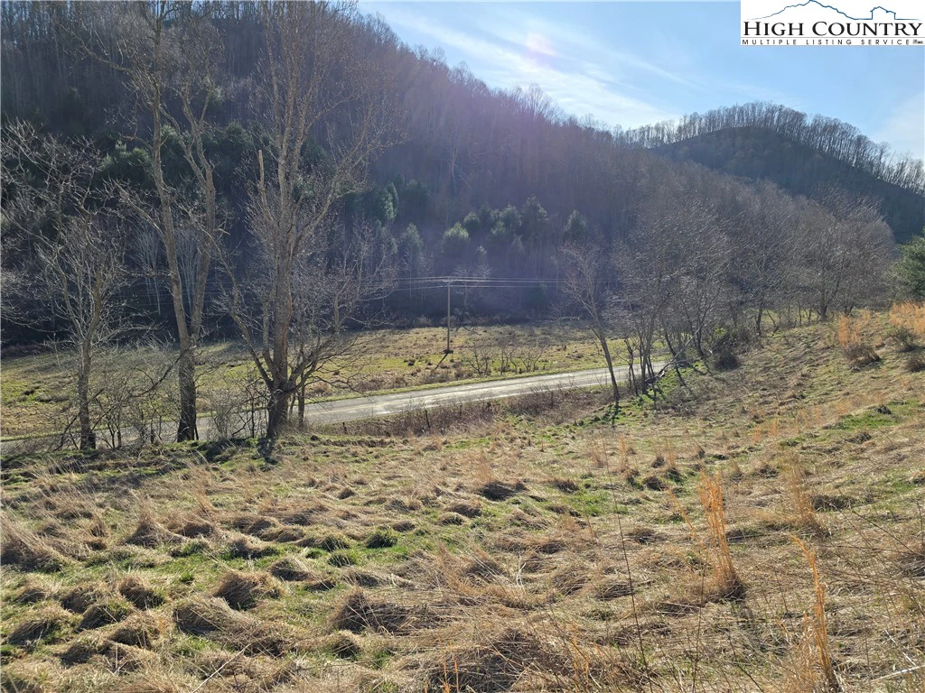 Image number 4 for the current listing