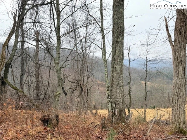 Image number 10 for the current listing