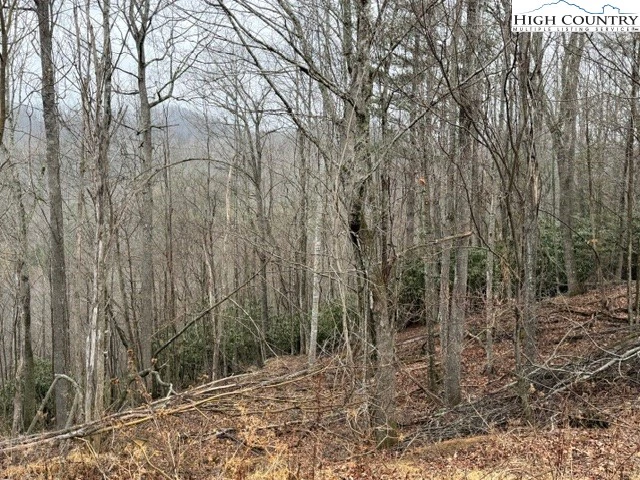 Image number 7 for the current listing