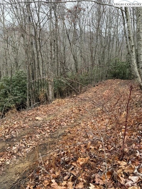Image number 6 for the current listing