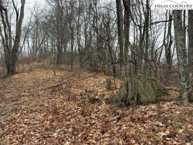 Image number 5 for the current listing