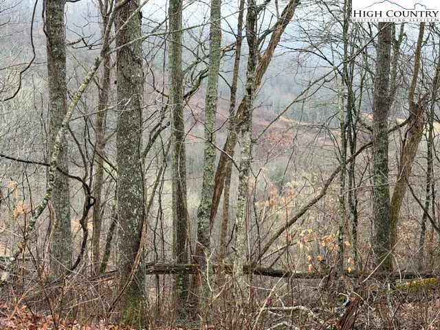Image number 4 for the current listing