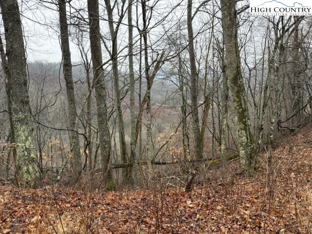 Image number 3 for the current listing