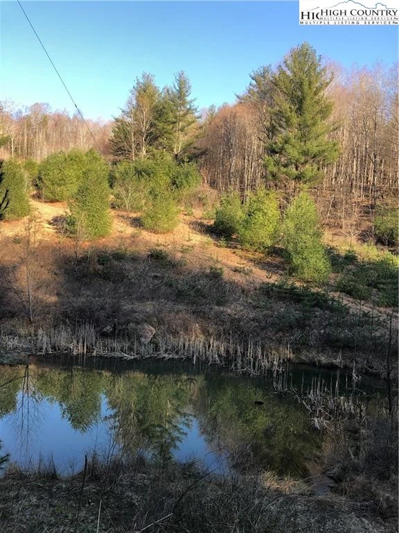 Image number 1 for the current listing
