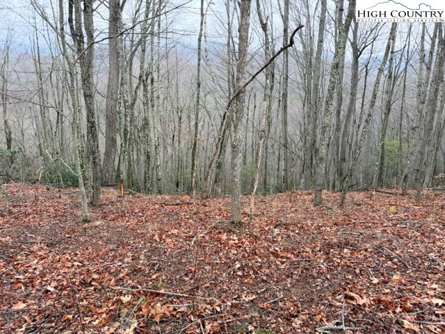 Image number 20 for the current listing