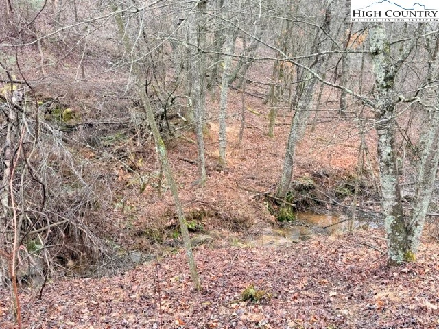 Image number 19 for the current listing