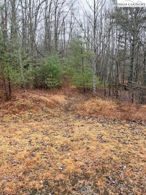 Image number 17 for the current listing