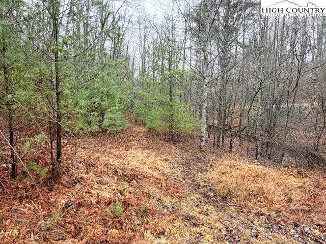 Image number 2 for the current listing