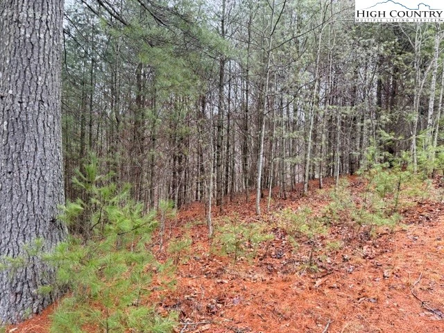 Image number 14 for the current listing