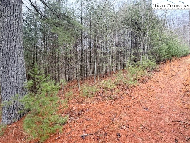 Image number 13 for the current listing