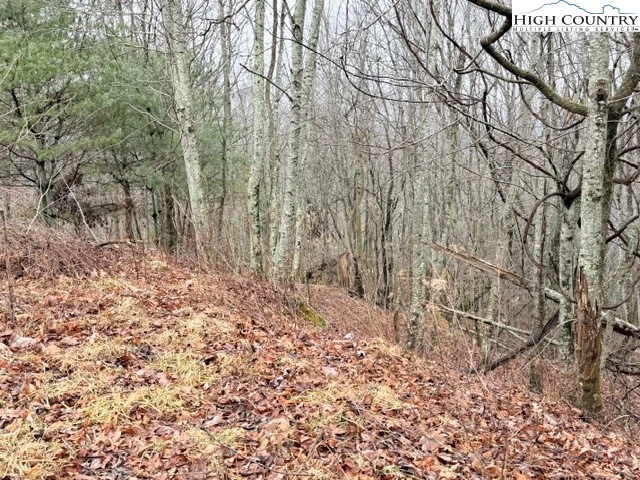 Image number 12 for the current listing