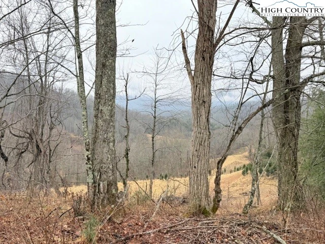 Image number 11 for the current listing