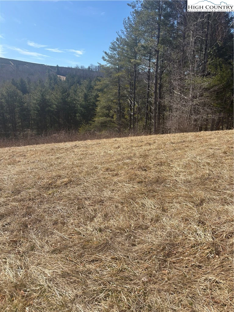 Image number 1 for the current listing