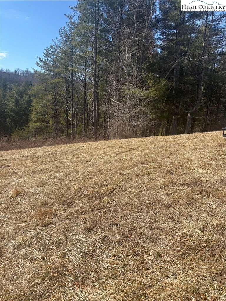 Image number 4 for the current listing