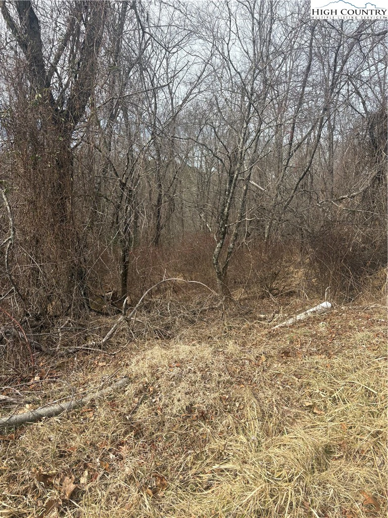 Image number 3 for the current listing