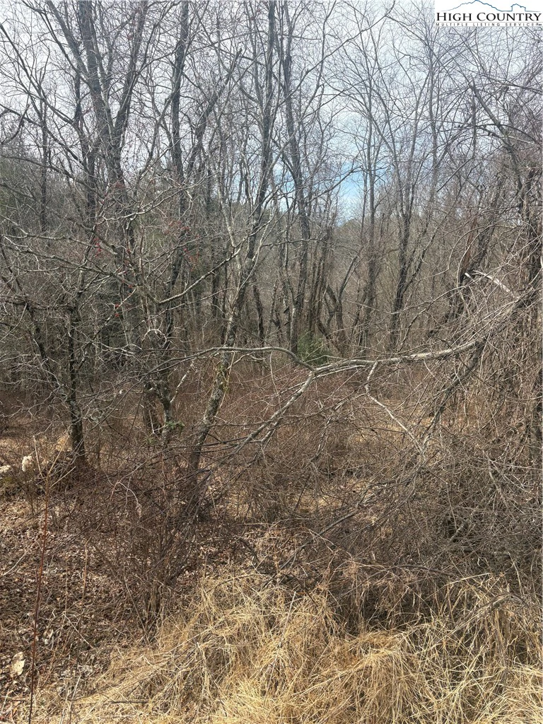 Image number 5 for the current listing