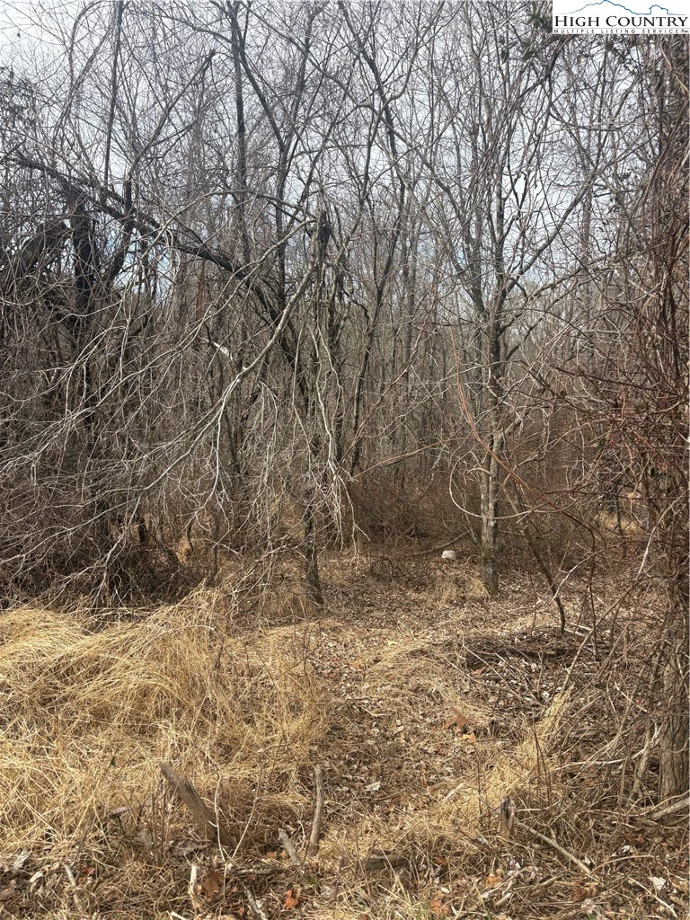 Image number 6 for the current listing
