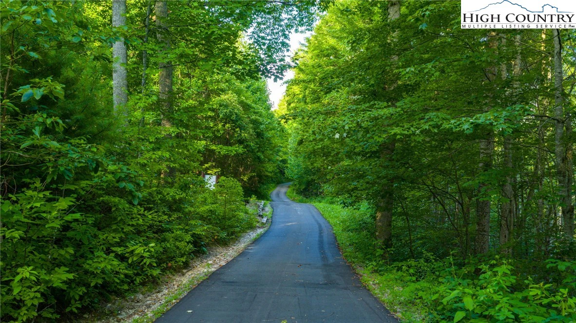 Image number 1 for the current listing