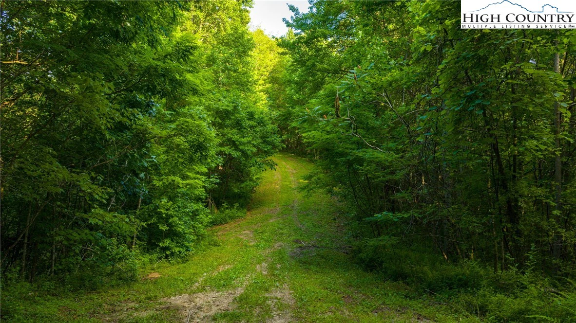 Image number 11 for the current listing
