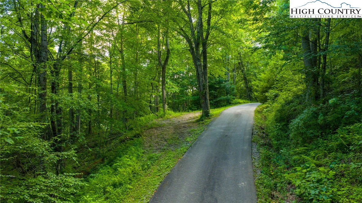 Image number 7 for the current listing