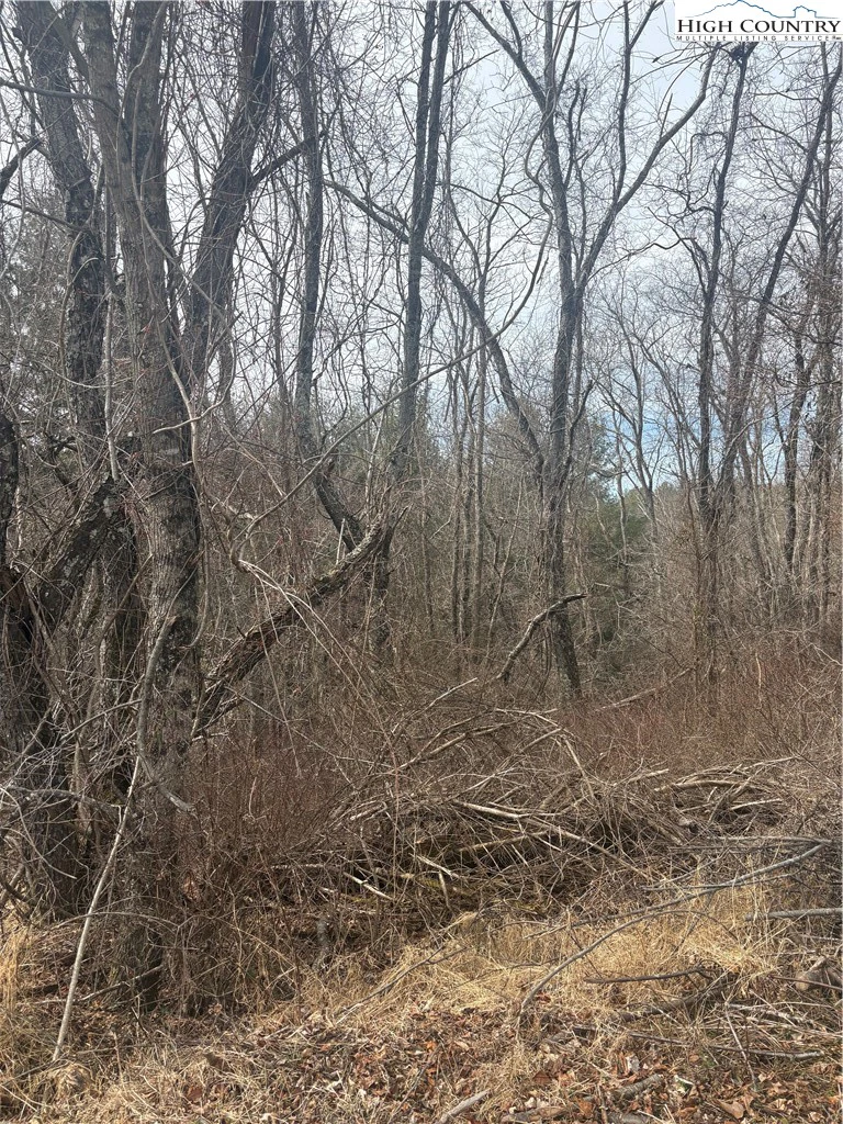 Image number 3 for the current listing