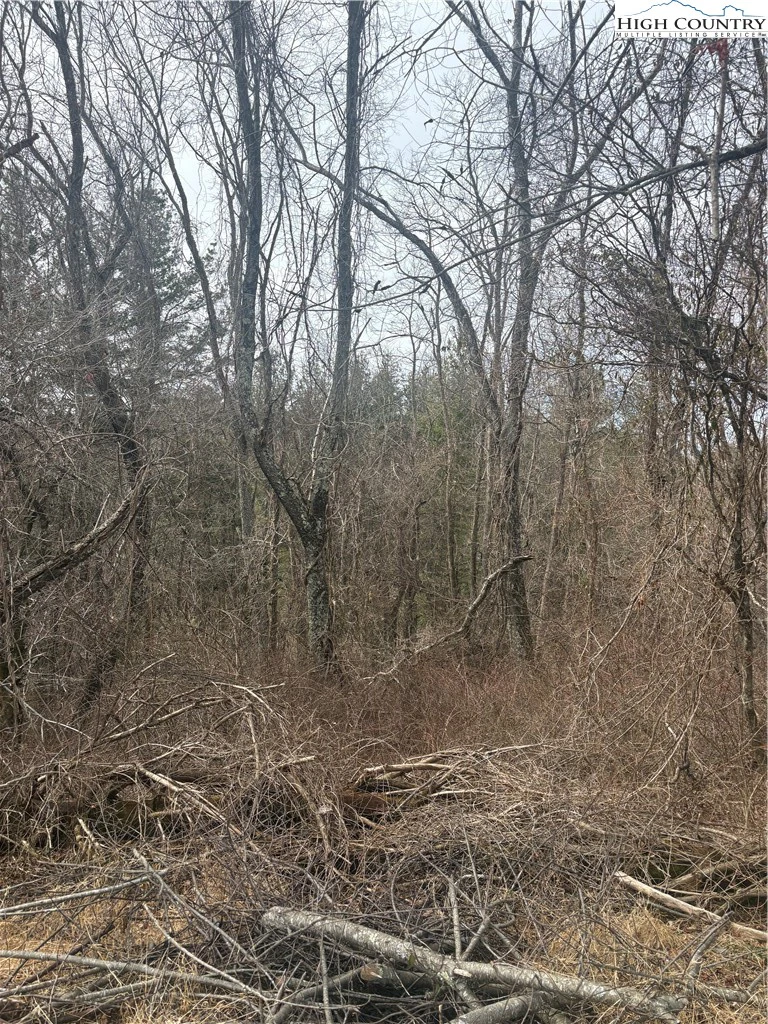 Image number 5 for the current listing