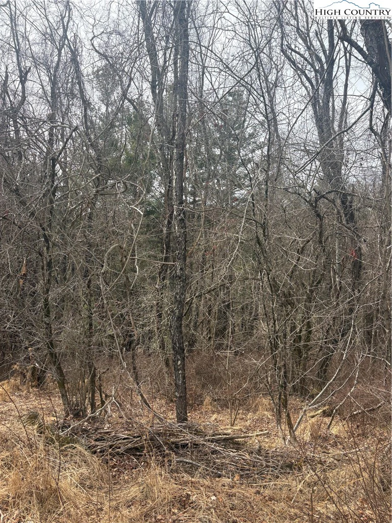 Image number 6 for the current listing
