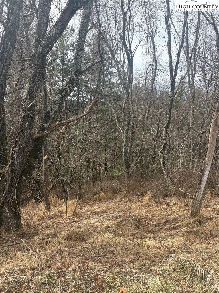 Image number 7 for the current listing