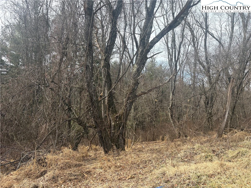 Image number 1 for the current listing