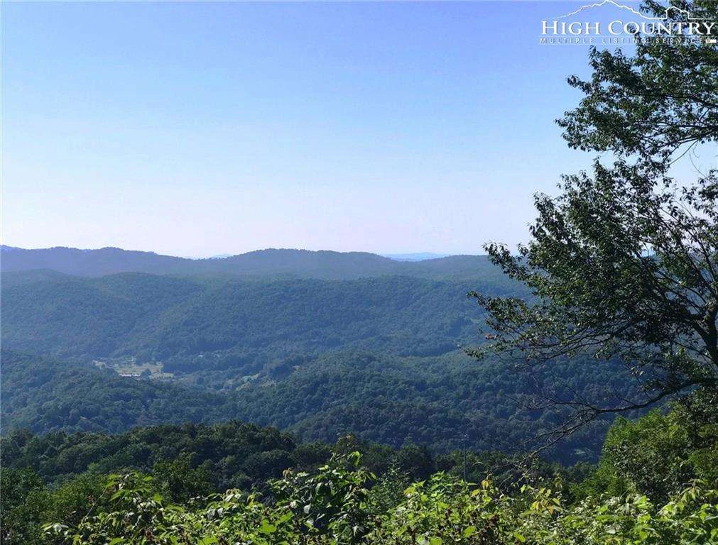 Image number 1 for the current listing