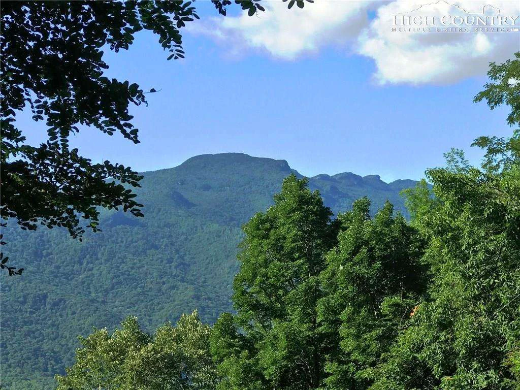 Image number 3 for the current listing