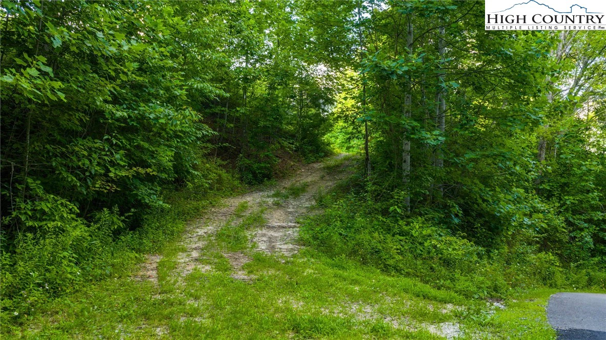 Image number 1 for the current listing