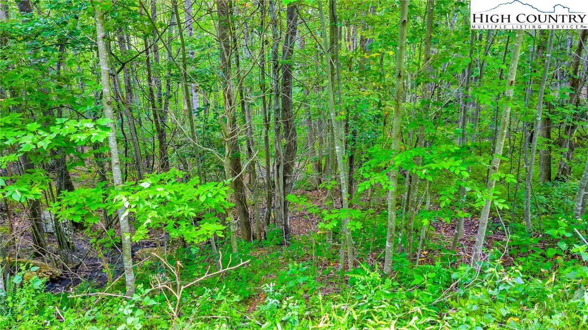 Image number 7 for the current listing