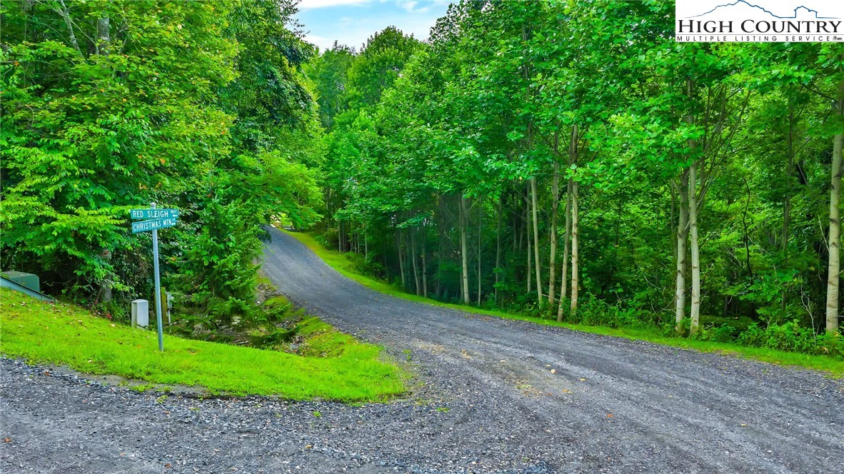 Image number 6 for the current listing