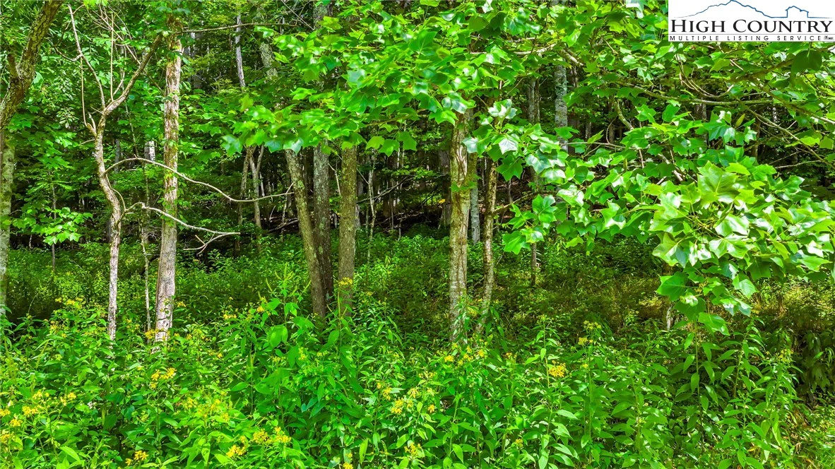 Image number 18 for the current listing