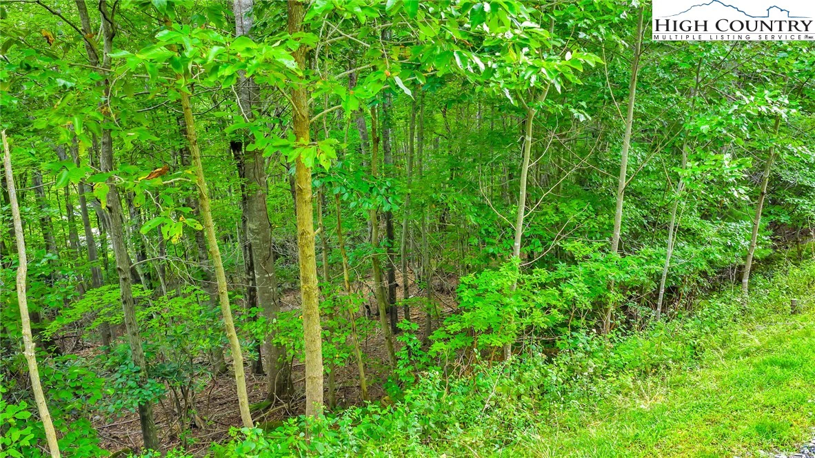 Image number 13 for the current listing