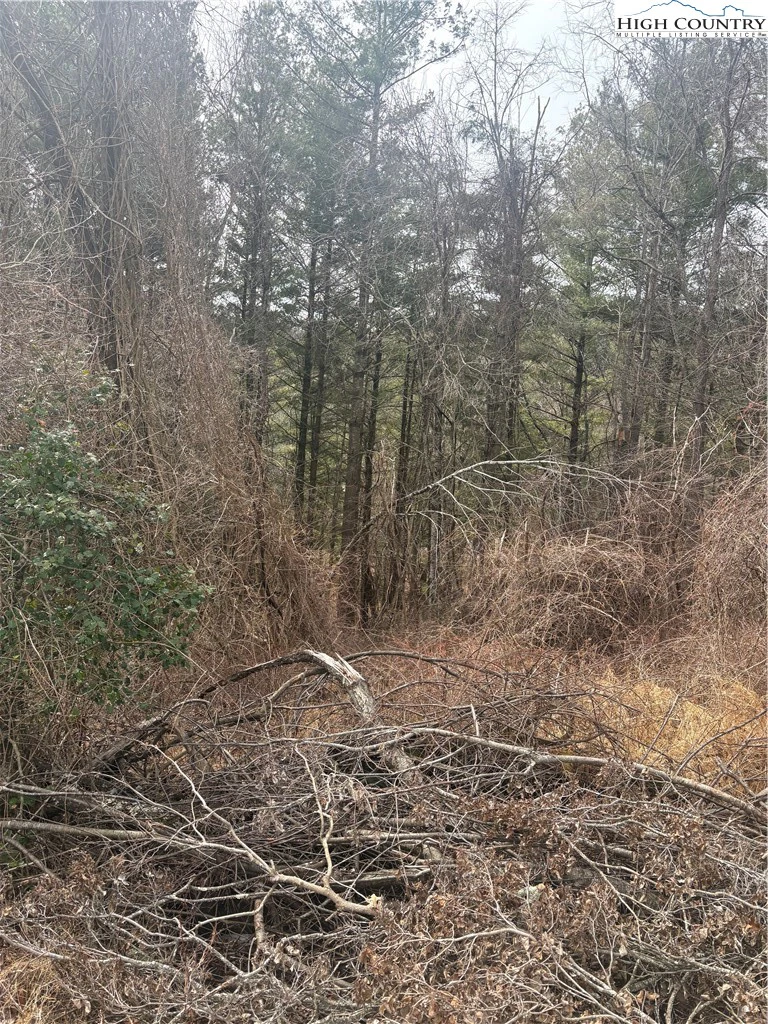 Image number 3 for the current listing