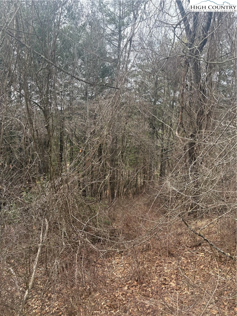 Image number 4 for the current listing