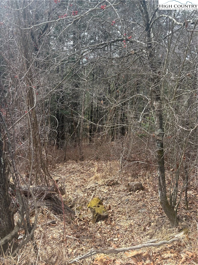 Image number 5 for the current listing