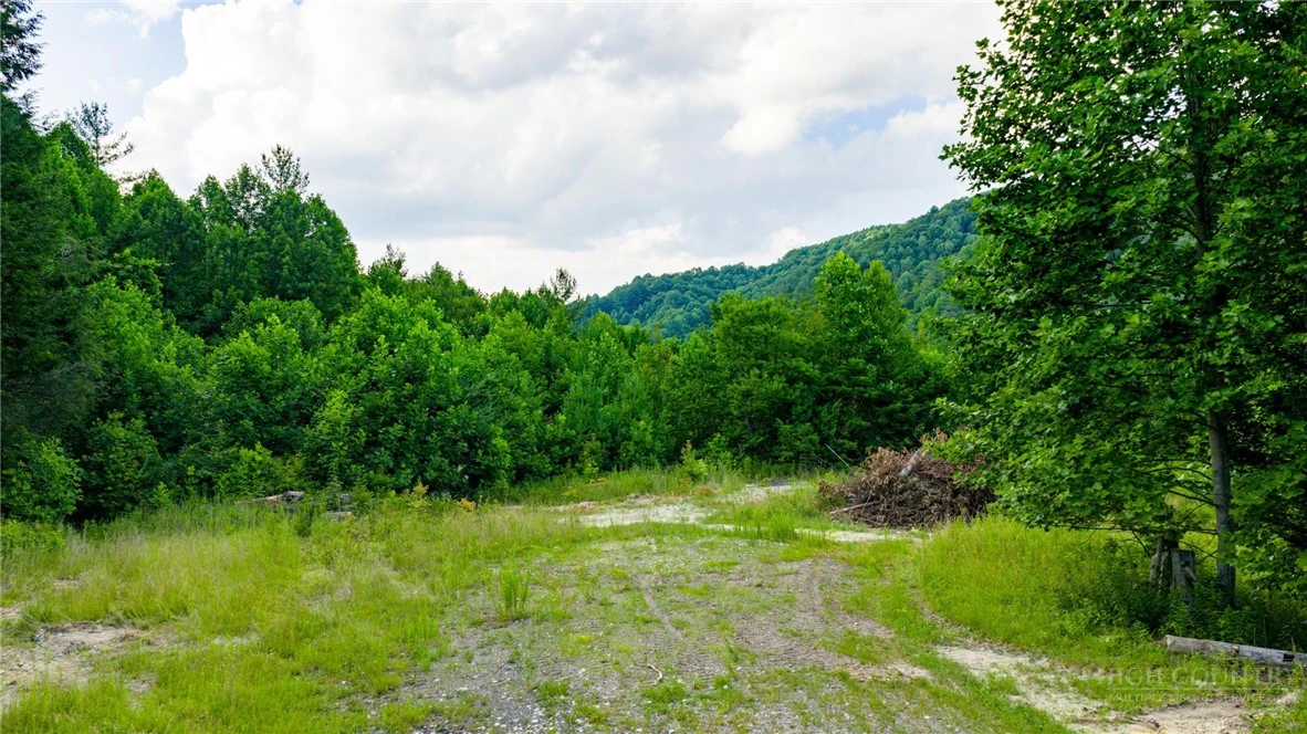 Image number 9 for the current listing