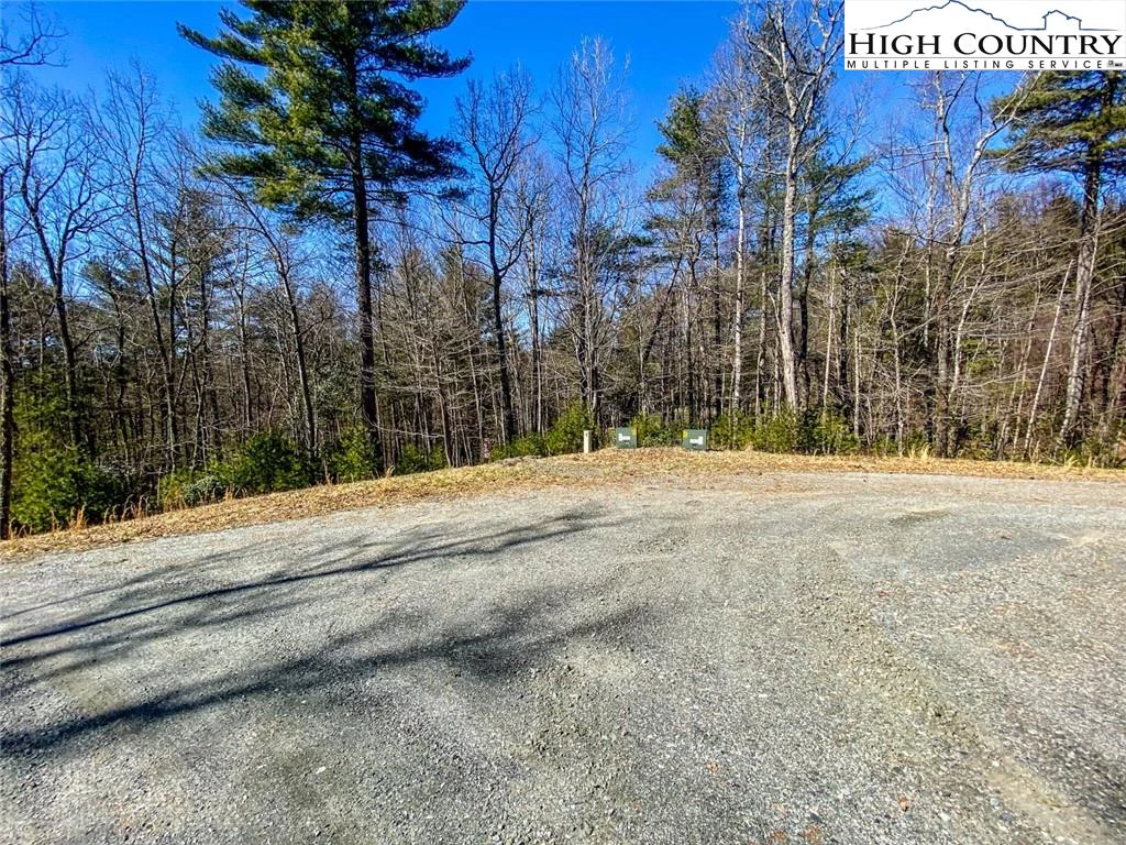 Image number 1 for the current listing