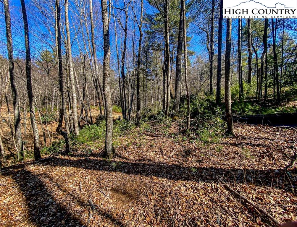 Image number 11 for the current listing