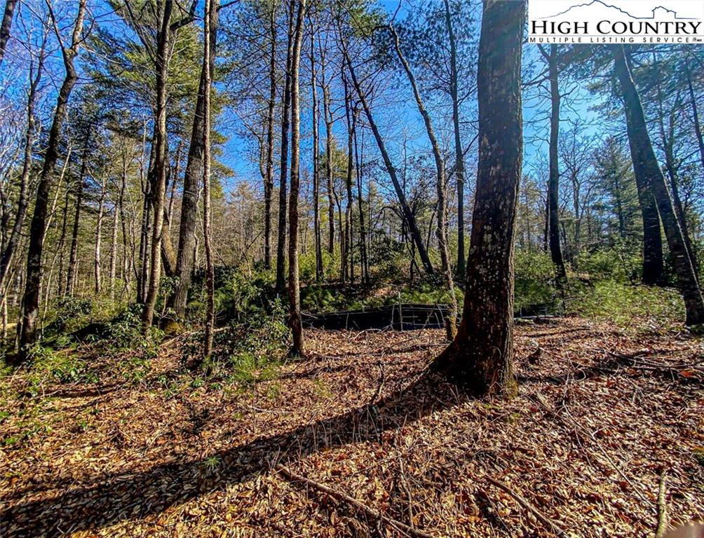 Image number 12 for the current listing