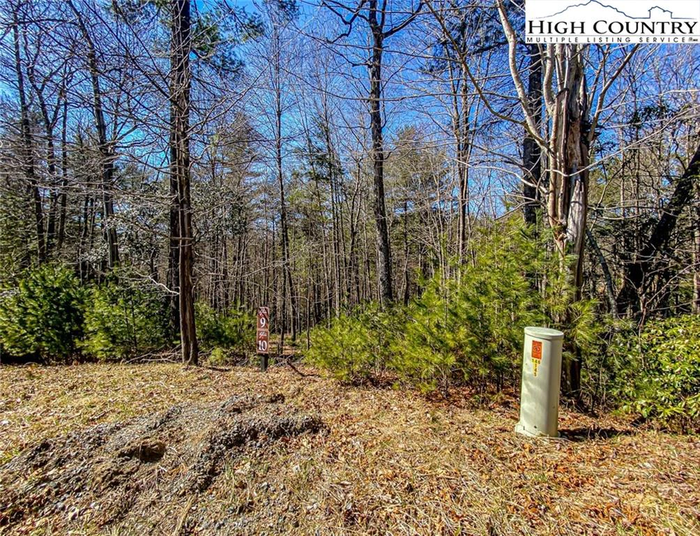Image number 16 for the current listing