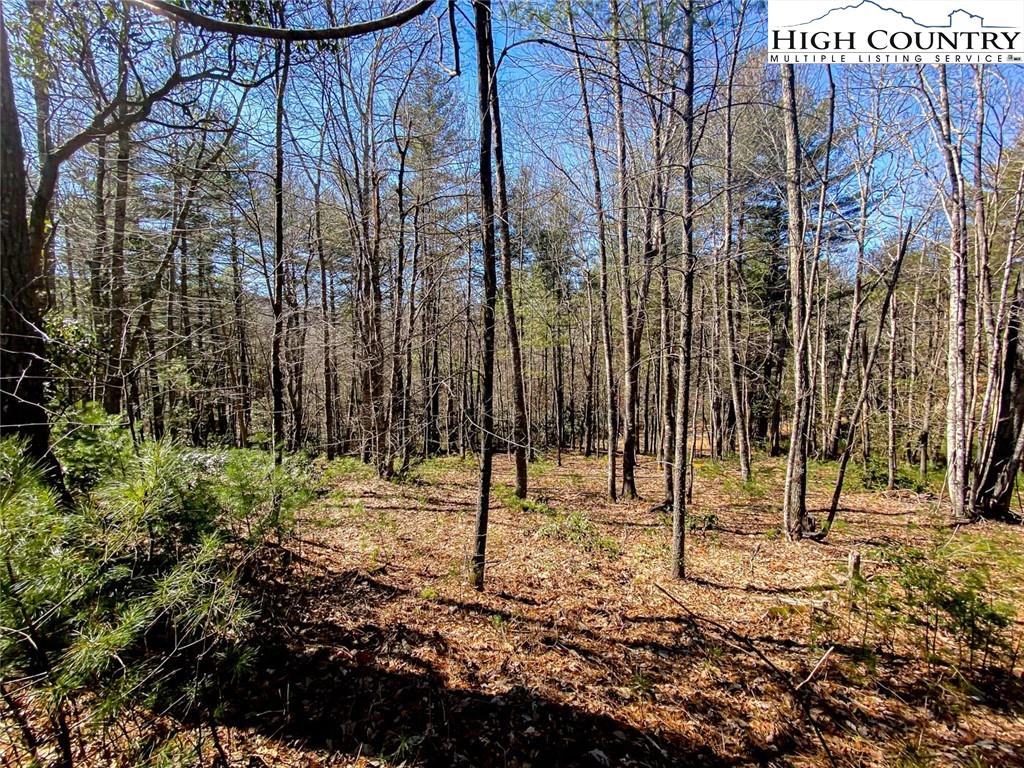 Image number 3 for the current listing