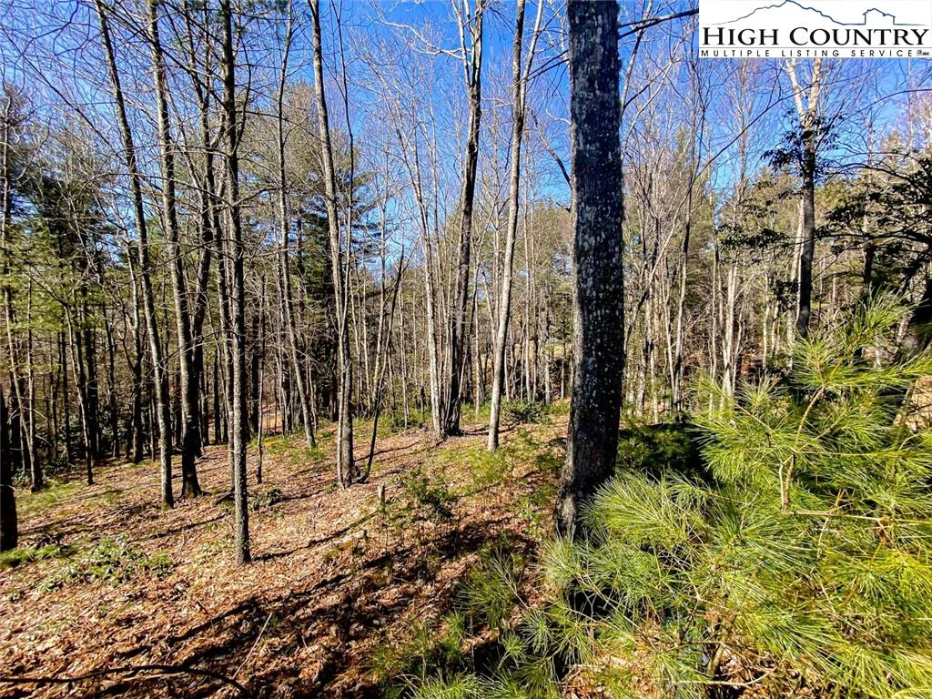Image number 4 for the current listing