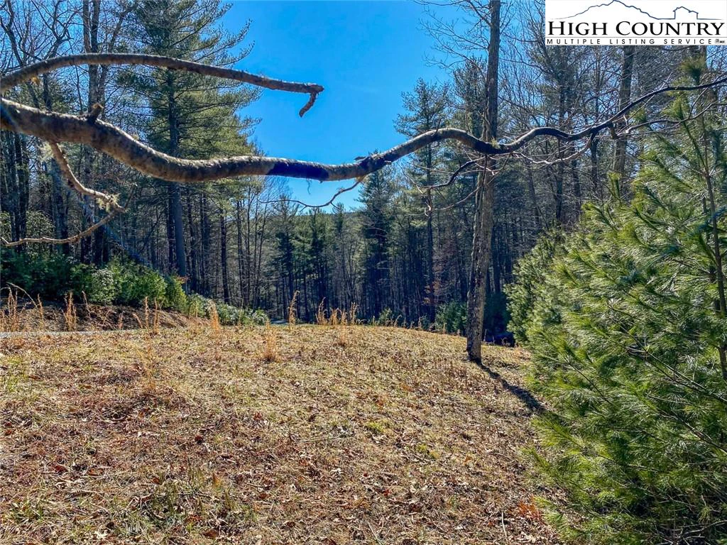 Image number 5 for the current listing