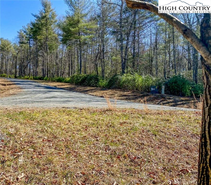 Image number 6 for the current listing