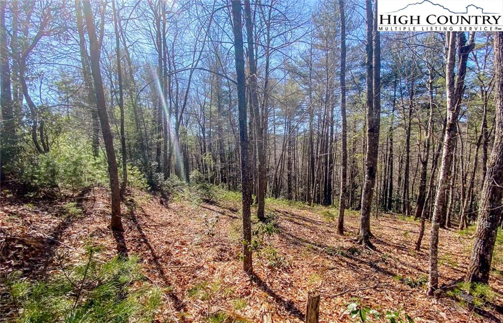 Image number 7 for the current listing