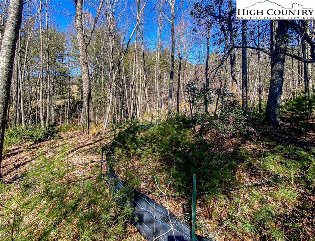 Image number 9 for the current listing